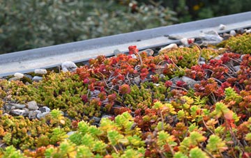 the cost of Inverlair green roof installation